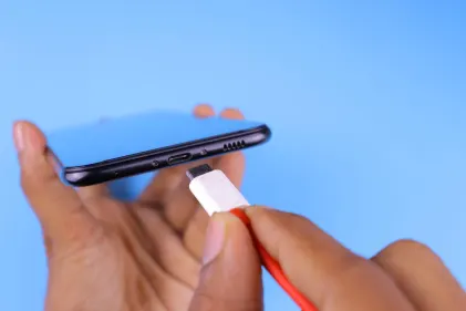 Casino Dogs Fortune App Mobile